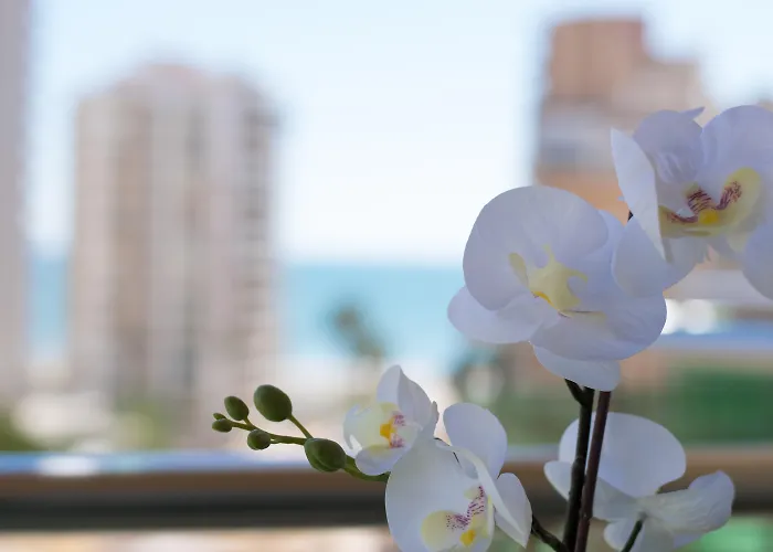 Szálloda Cullera Holiday 4*
